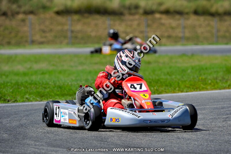 DSC_ (1521).jpg